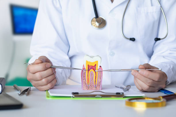 Best Emergency Broken Tooth Repair in Rockcreek, OR